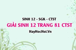 Giải Sinh 12 trang 81 Chân trời sáng tạo SGK